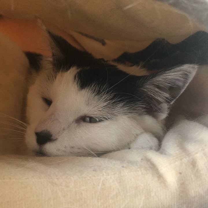 C8a2c993 3523 46f7 9112 765a5e88d1e4 1557272974040