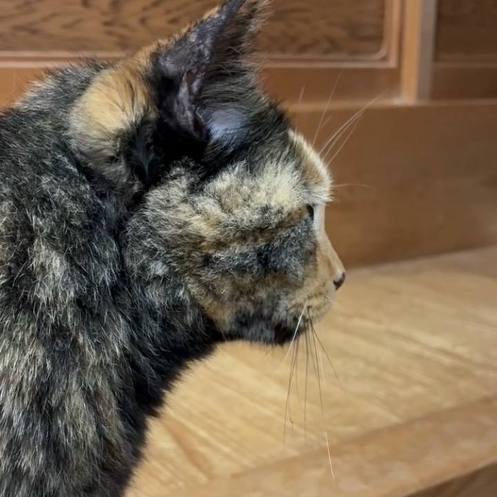 C8a2d0eb 5fdf 4b44 bfb2 b76fe125b942 1750039156963