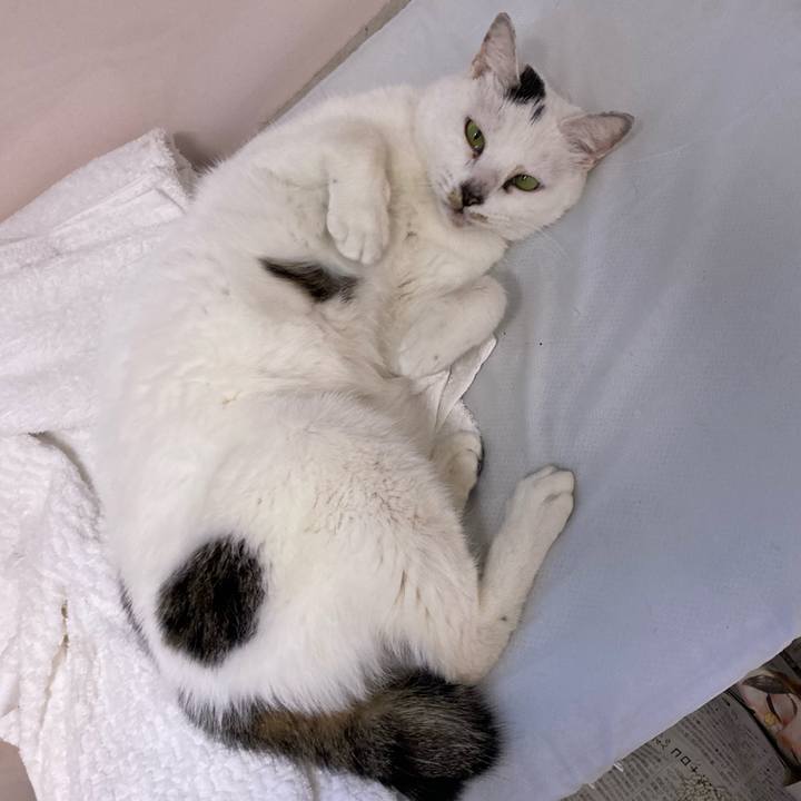 C8a2dcbc c15e 4cec b406 a767d7791a43 1643007995922