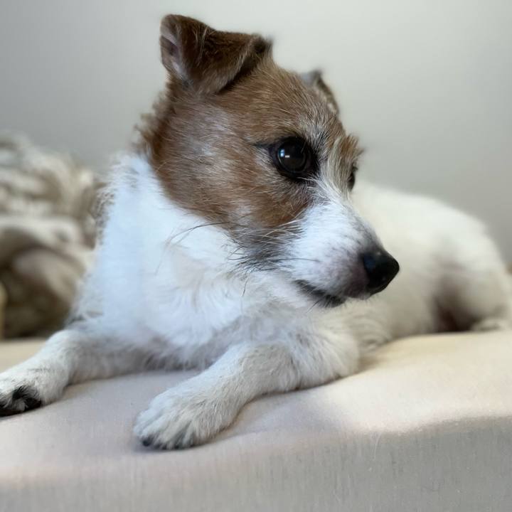 C8a2e98f dc82 489b 8652 f0ed1f3ba6c1 1730588699753