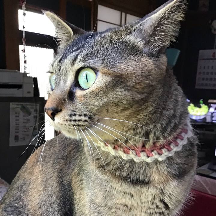 C8a2ea0a c3f8 4791 835e eac2e175acc4 1650615162298