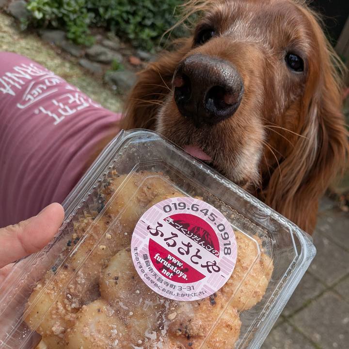 C8a2ef68 2fd3 4eeb 8e70 257b27796881 1776224197721