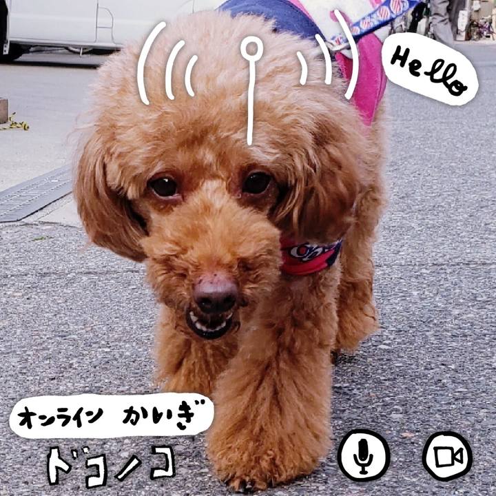 C8a2f1d6 e265 4578 86c2 1d4a0cda4c31 1590800239219