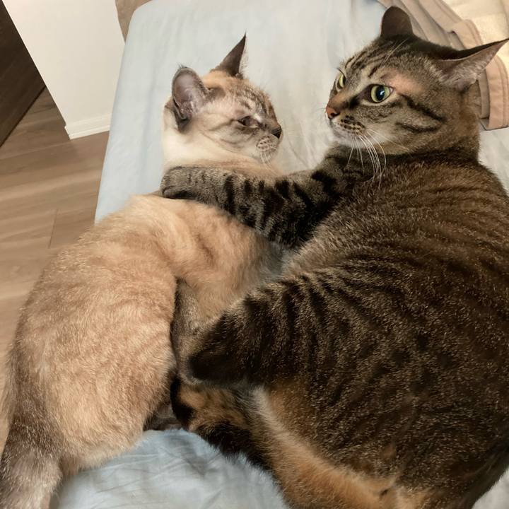 C8a2fdab e99f 47a5 ac71 4aa8c1ed6ee3 1664839332340