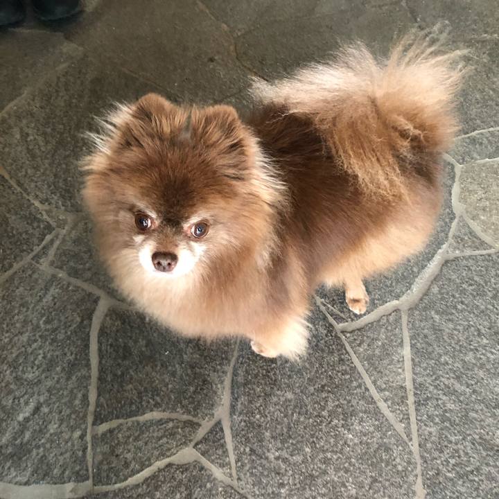 C8a33d55 882e 496b 9355 bf1aa091a4f4 1624838816623