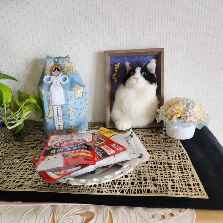 C8a38862 cd3b 4566 b053 8f81d1ba34b8 1755050464687