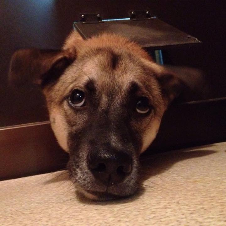 C8a39af4 6449 4250 bb8b 3e57794aca77 1575534459991