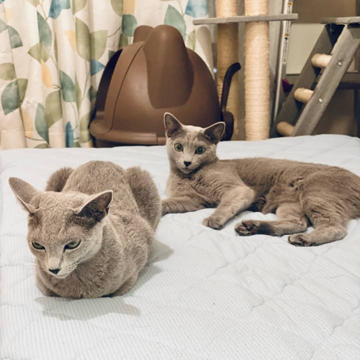 C8a3a714 858e 4e68 aee9 d6c3933744ee 1633148159262