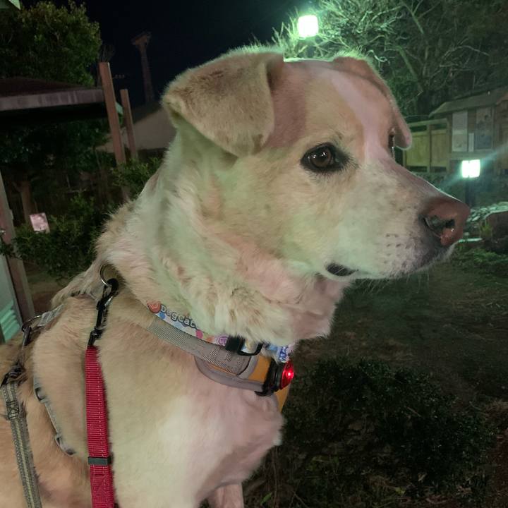 C8a3cdce 178e 4072 9564 771c18ee8416 1579615029520