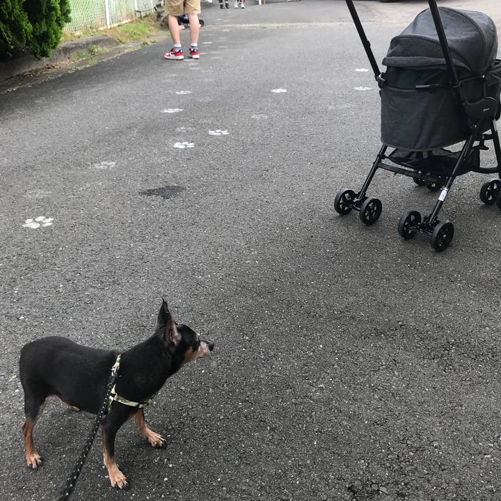 C8a3f0c8 0e0a 4372 bd28 d41110ed1a57 1566049969458