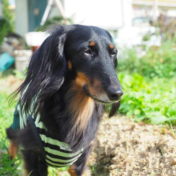 C8a41634 ff5e 4f2f baac 460ac5459b55 1633586904658