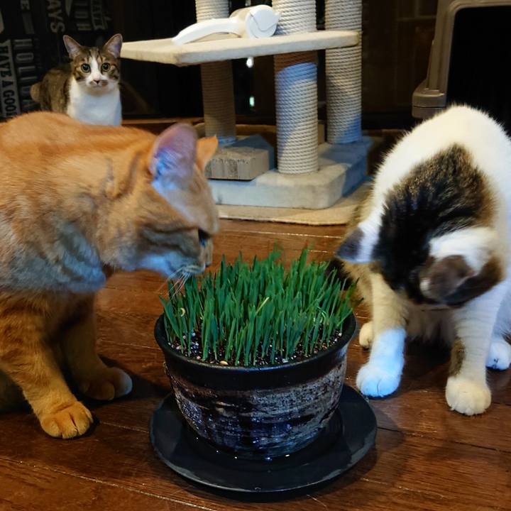 C8a422a5 75e8 4b94 96ca ee98a2bf0d4a 1566346469519