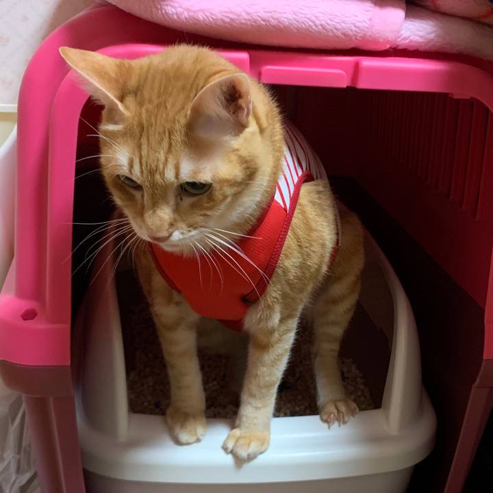 C8a441cc 7565 4177 af35 cc7619174dd2 1575377358240