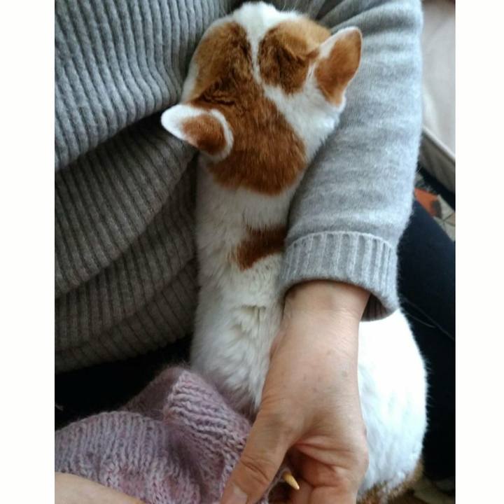 C8a45004 db86 4427 a281 9d7092a92a22 1515386483619