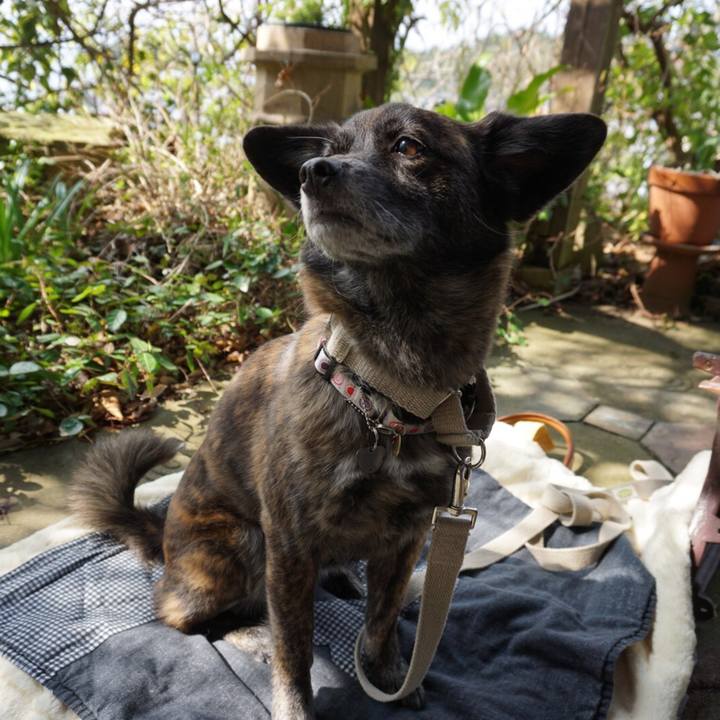 C8a47427 1d76 4129 919e eaa0b16ef14d 1553177783422