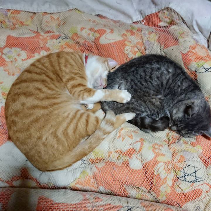 C8a4dec9 eafe 4026 b4b2 7c4044c65a36 1571751612109