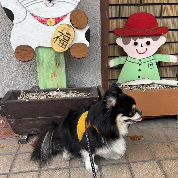 C8a51c0f 1d3c 404a 9f31 7f244fe0ad2c 1765253719325