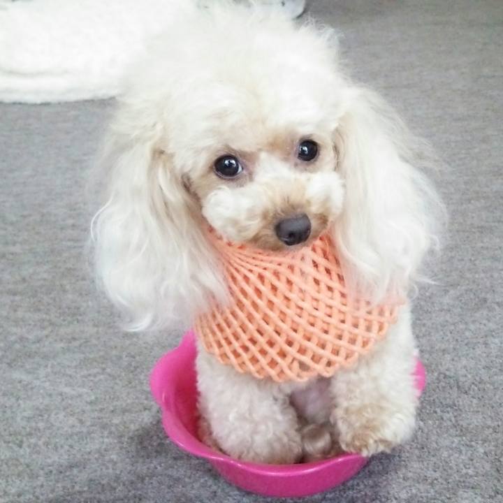 C8a52cf7 9679 4579 b35a 12a6597485c2 1531917805746