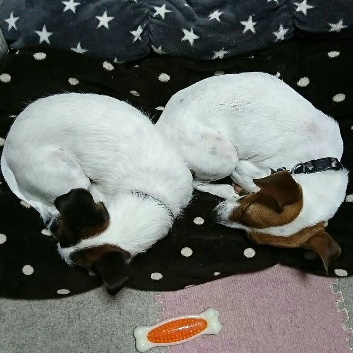 C8a53f86 81ce 45a2 ac8b e1b16a84fb64 1540981908148