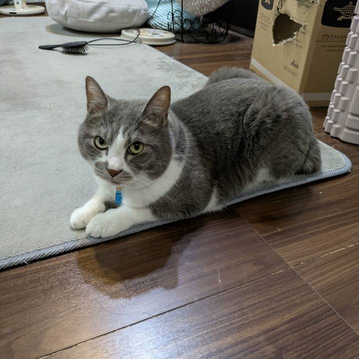 C8a55afd 9b37 4dfa a9d5 bf29e7b9862a 1748860306132