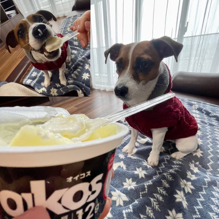 C8a570cd 841f 4a49 9004 60735ee847cf 1642402265601