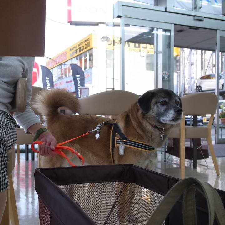 C8a5a168 22d2 41ca ab8d c8320805d52f 1585565627426