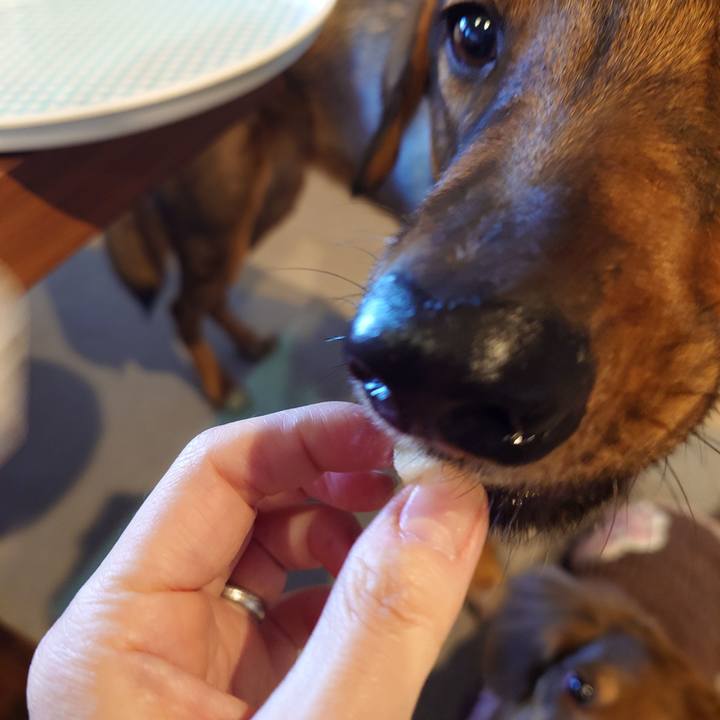 C8a615cd 354b 4092 9f3d 874daf7ae2d9 1734831739427