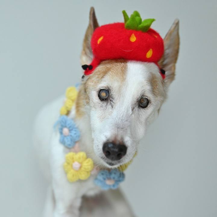 C8a6875a 2c90 4e55 94ba 5e3130b92611 1760531530795