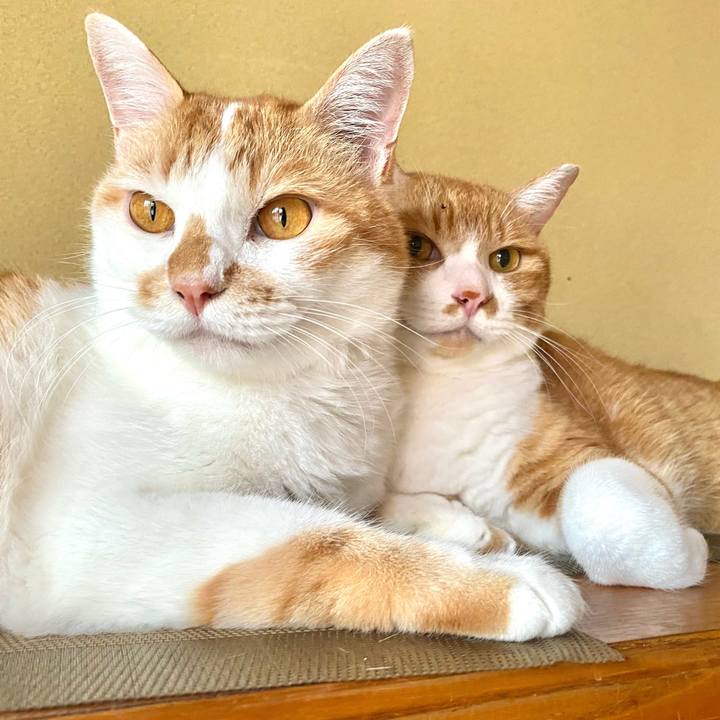 C8a6898f 7be5 439f 9480 ddc6883cca76 1690199958975