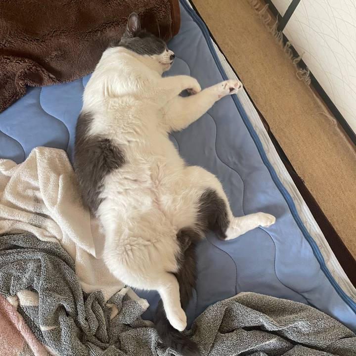 C8a6a874 de50 47bc ac42 71060d1ca270 1695423993753