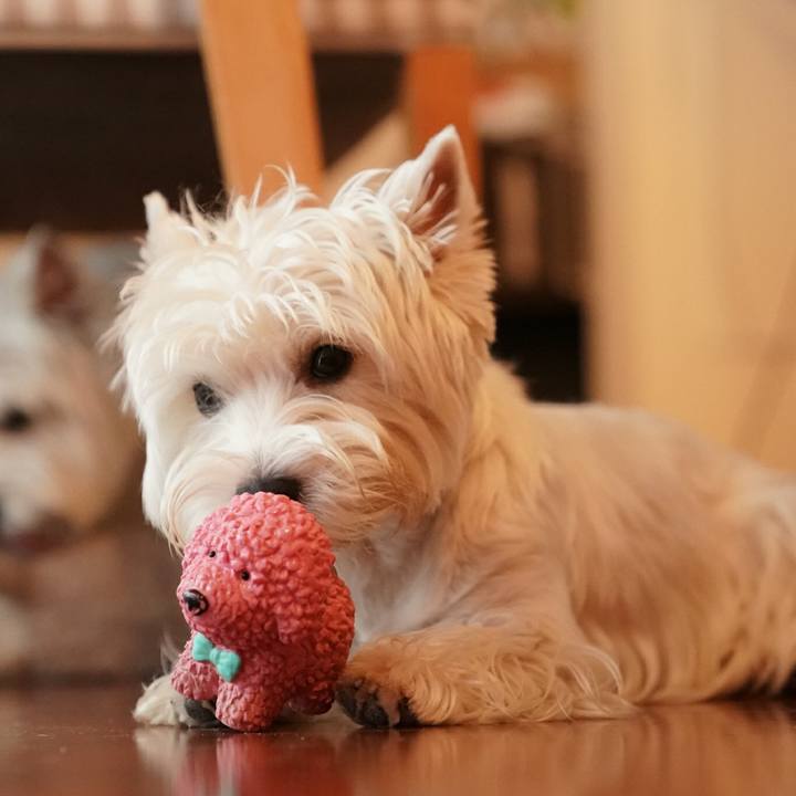 C8a6c71e 8649 464b a7e0 374471820a74 1524014787383