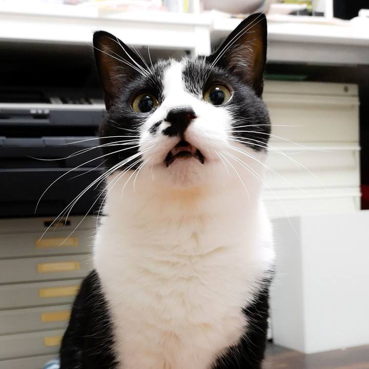 C8a6cb41 0c01 4375 8beb c8a933e41f49 1572401104629