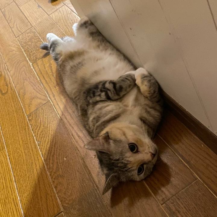 C8a6da05 0354 4730 8a99 2113f3f3f034 1659016328963