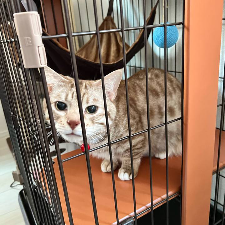 C8a6deb3 0884 43f0 8446 0502bfc4b91c 1672278048136