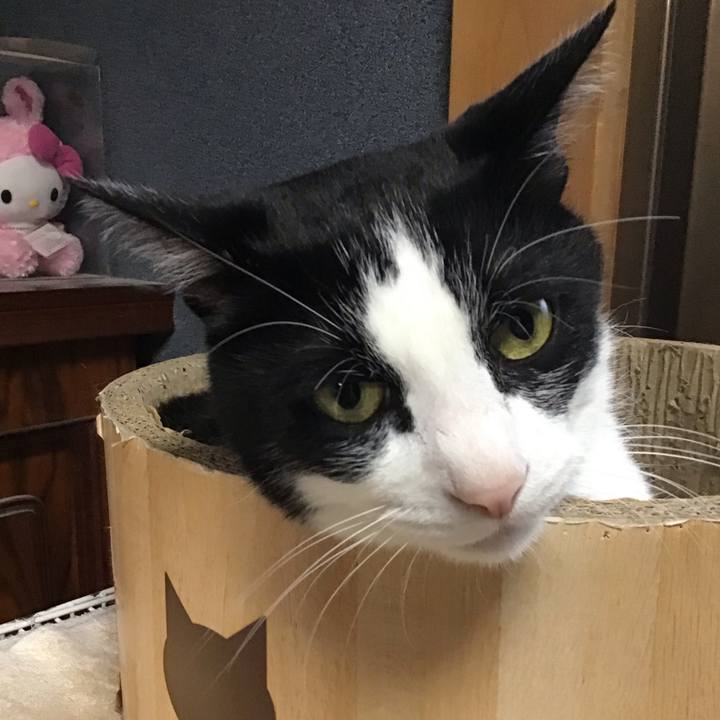 C8a7b1bf f4c7 46ce 8604 9965d730c15c 1749541501744