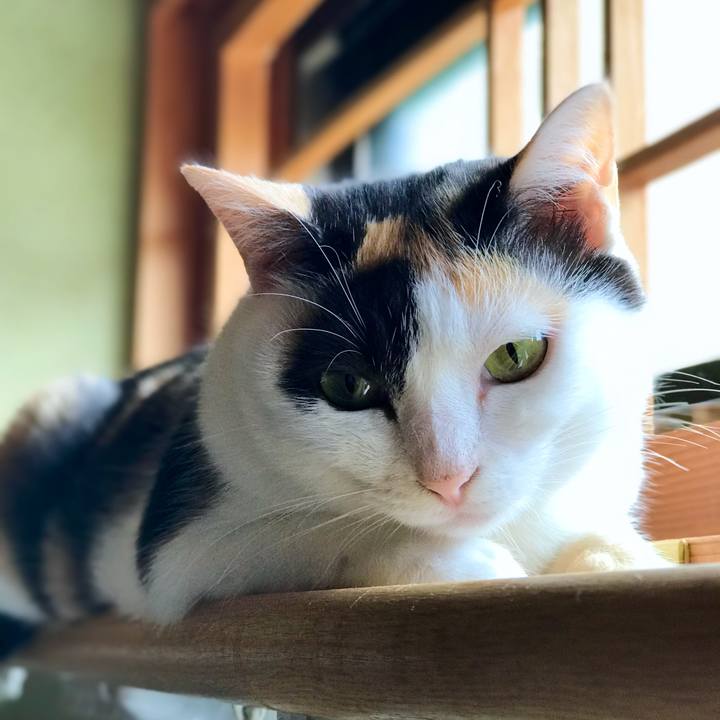 C8a7d3f0 f954 46e8 91b3 6345e04e99e8 1535506008341