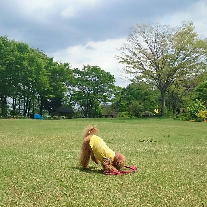 C8a7e0cc 33c1 44f6 8715 ca4023edf3ad 1525498583808