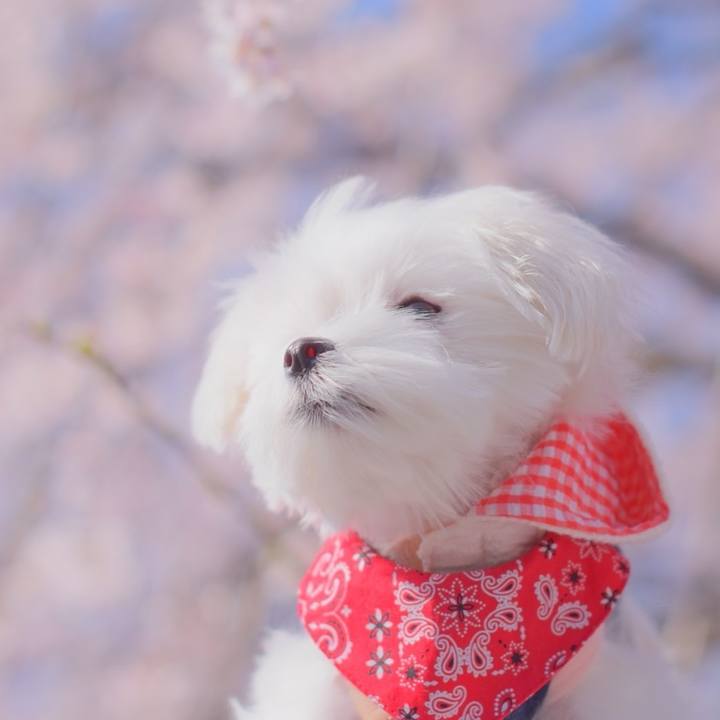 C8a7f77e 7504 4dba b817 f0632f6bb4a1 1711893286697