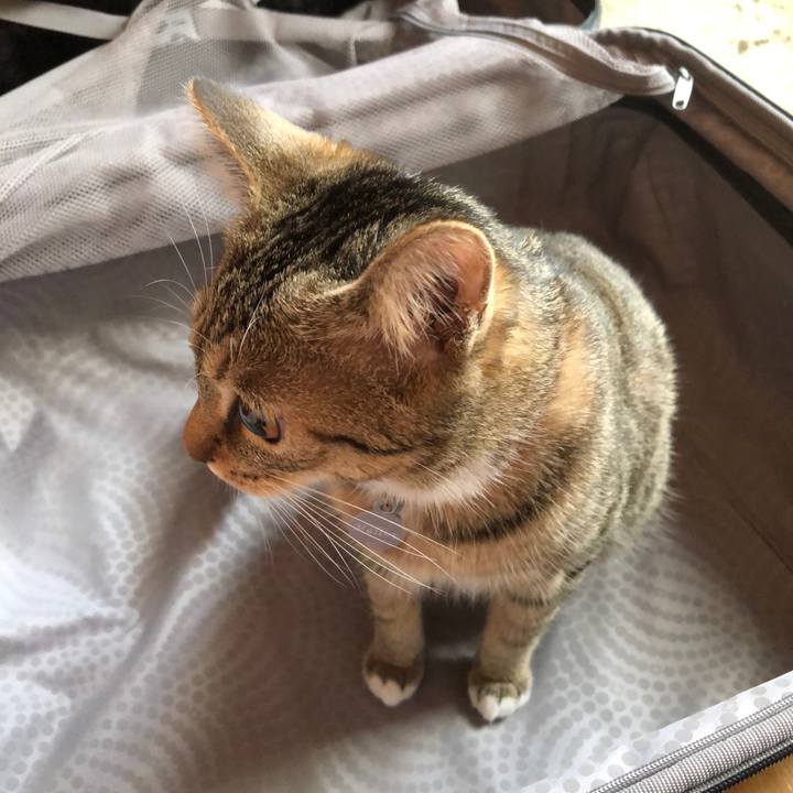 C8a80ca9 c713 4930 b402 c1ce9ce3bbf8 1572832556908