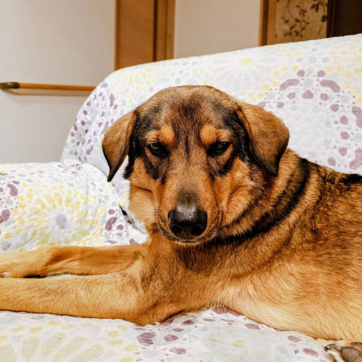 C8a842a5 ea88 4fbc 9122 5efa47341339 1772374510284