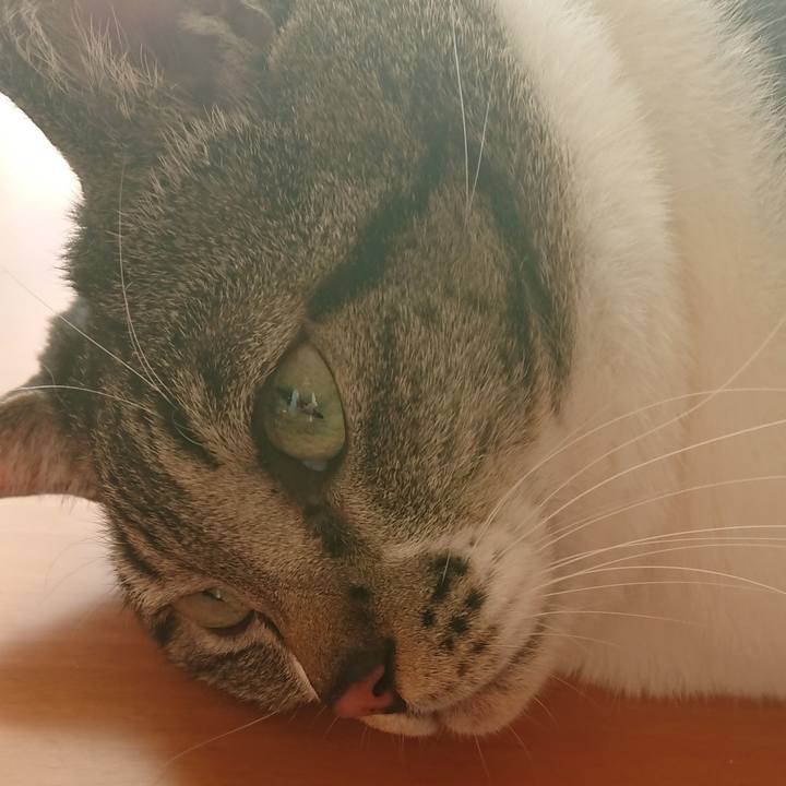 C8a8578d 3eb1 4118 94c5 14bec245667b 1573272358224