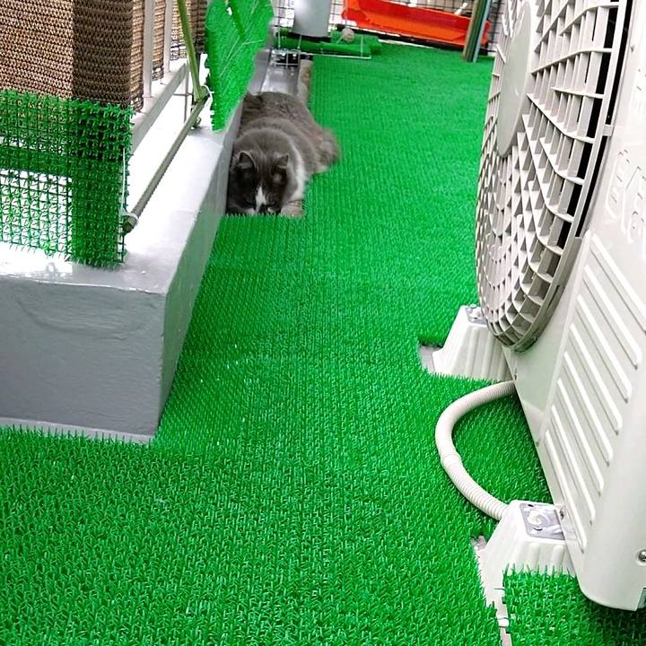 C8a883f5 560c 4b1c a4b1 f88690242e44 1585481091836