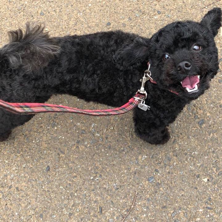 C8a8e091 0c83 48de 818e edf8db8a4e9d 1561013390807