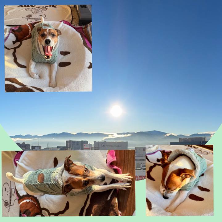 C8a905de 2aa3 4ba3 93e1 7849604e5178 1772059368680