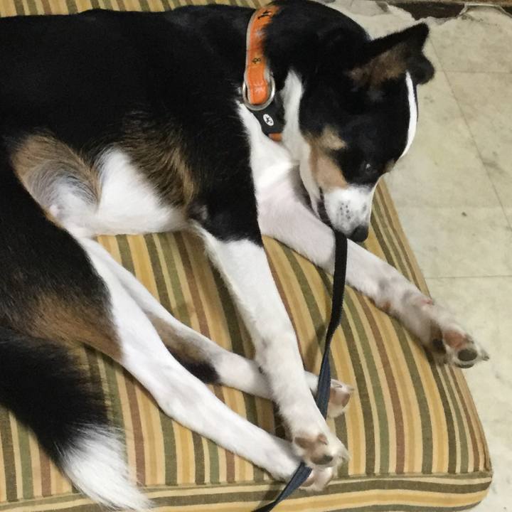 C8a92fd7 c4a1 4847 a1ab cd591e830512 1571098397972