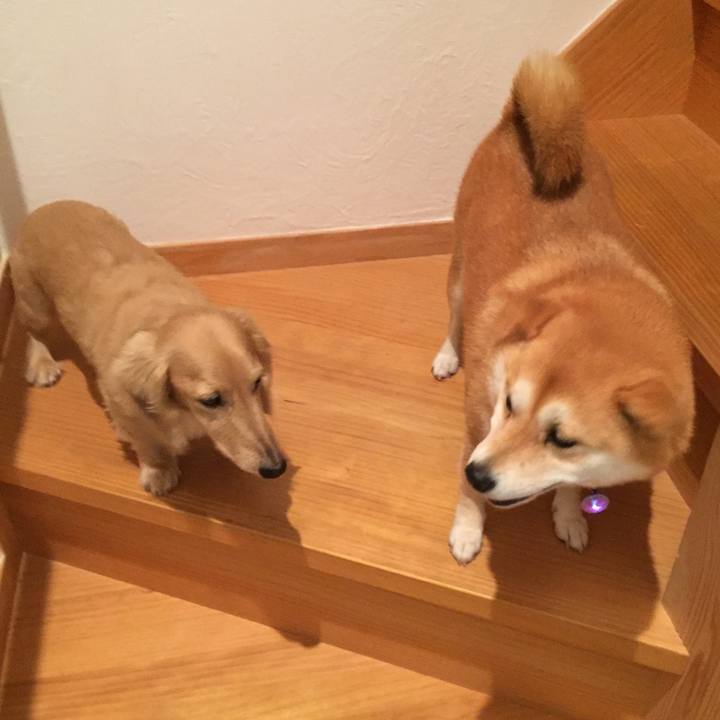 C8a93970 18ec 4660 8974 51f773d53c1f 1508226873451