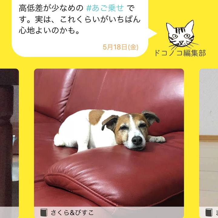 C8a942af d59b 4dd1 bf01 9b0636f437f5 1526609012899