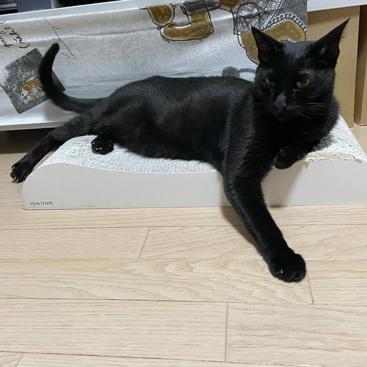 C8a9543d 7d56 4428 8cc2 0b05b3e2a9aa 1660305425103