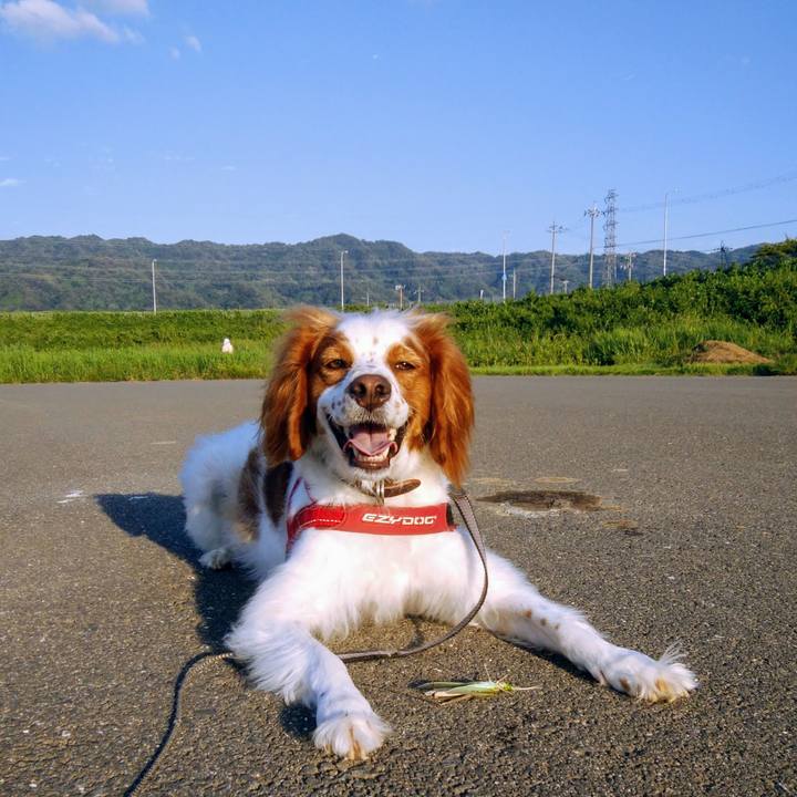 C8a9a753 55d2 465b 8c1e feff57edb03c 1536148719306