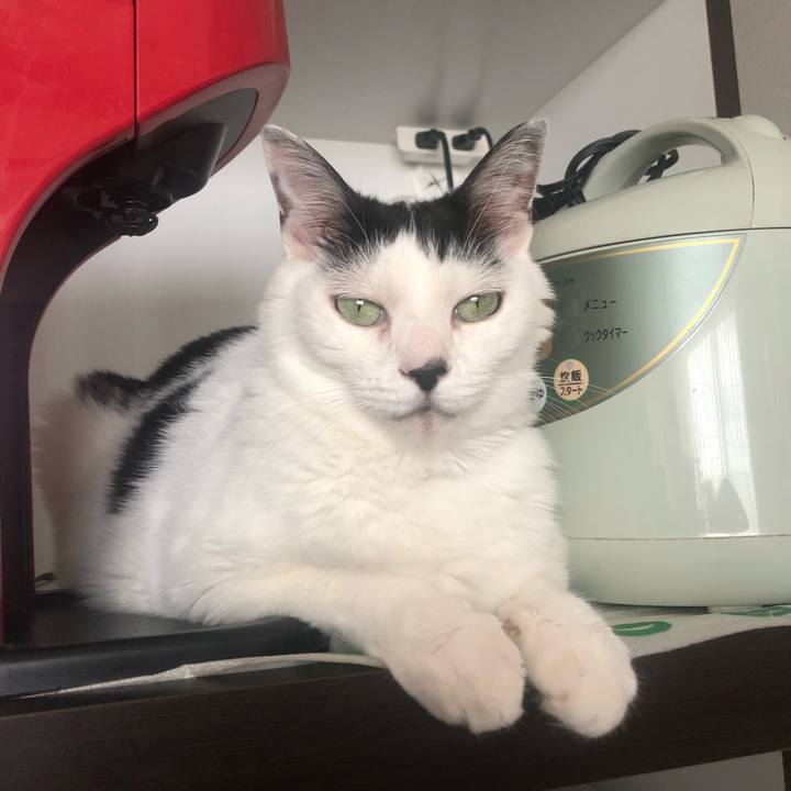 C8a9d2d7 3f33 45e2 b85a 023889770c2b 1596498454828